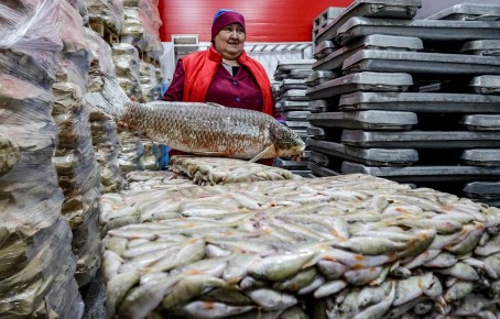 ������� ������������ ���� �� ������ ����� �� 18% �� ������ ������� 2025 ����