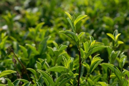 ����������� ����� ����� ������� ������ ���: 100 �� ������ ����� ������������� ��������