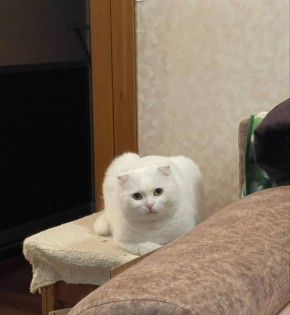 ����, ������ ����� � ��������������