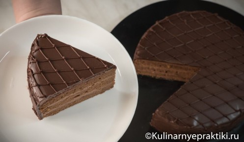 ���� �����: ��� ������� ���� ������� � ������������ ��������