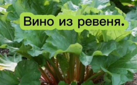 ��� ����������� �������� ���� �� ������: ��� ������� � ������