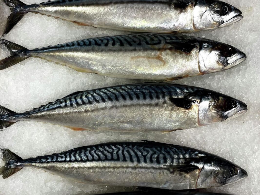 ��� �������� �������� ��������� �������� ������