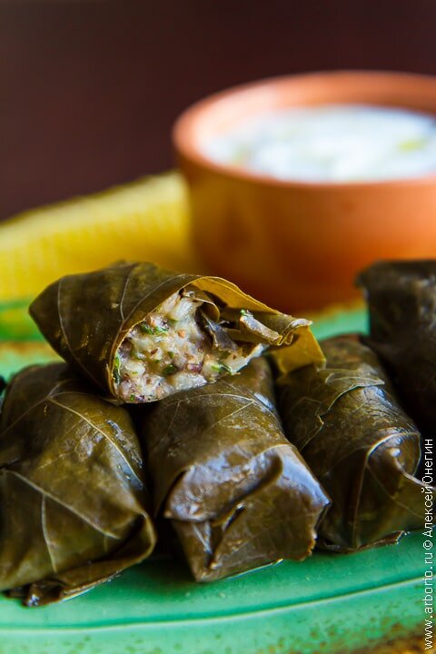 Как приготовить вегетарианскую долму: вкусный и простой рецепт