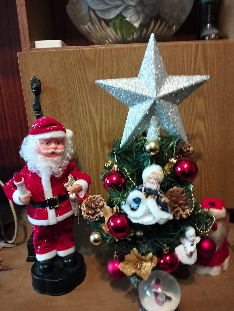 Новый год в кругу семьи: волшебство и заботы