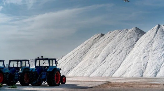 ��� ����� ����� � ����: ����, ���������� � ������ �� ������