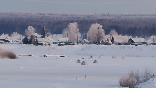 Предновогодняя суета: как встречают Новый год в Сибири