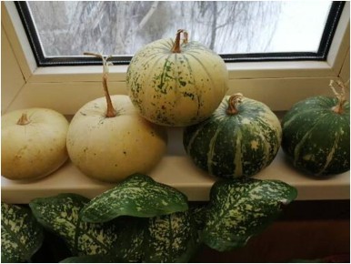 ��� ��������� ������������ �����: ������� �� ��������