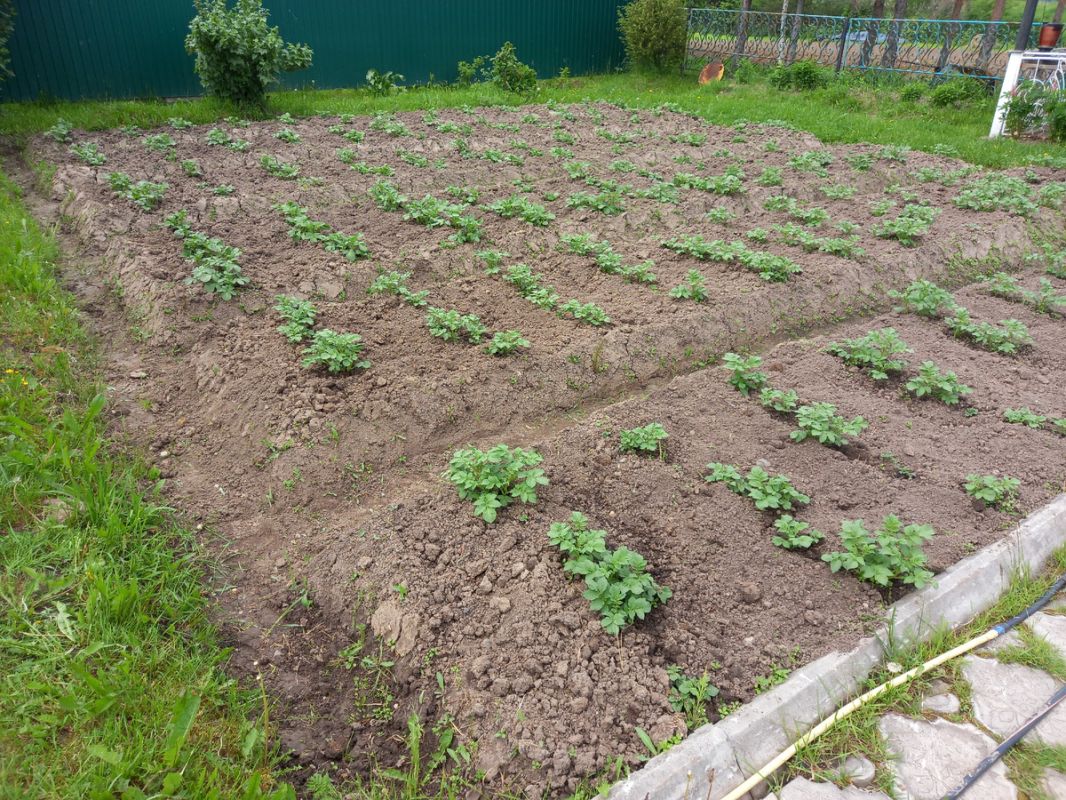 ��� ���� �������� �� ���: ����� 10 ���� �� ������ �� 200 ������