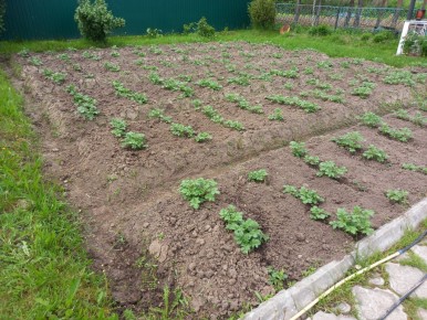 Как мама экономит на еде: более 10 блюд за неделю до 200 рублей