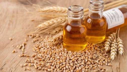 ������ ��������: ����� ������ � �������� �������� �����