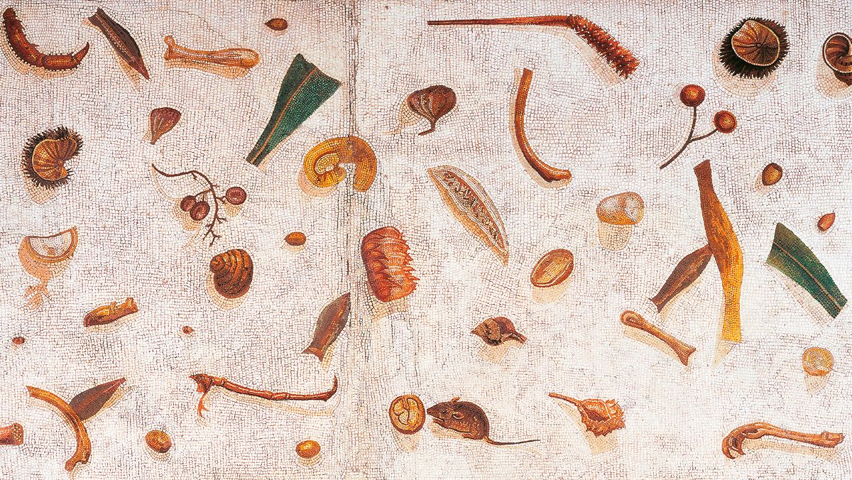 ��� ������� ������� �������� ������������ ������� �����