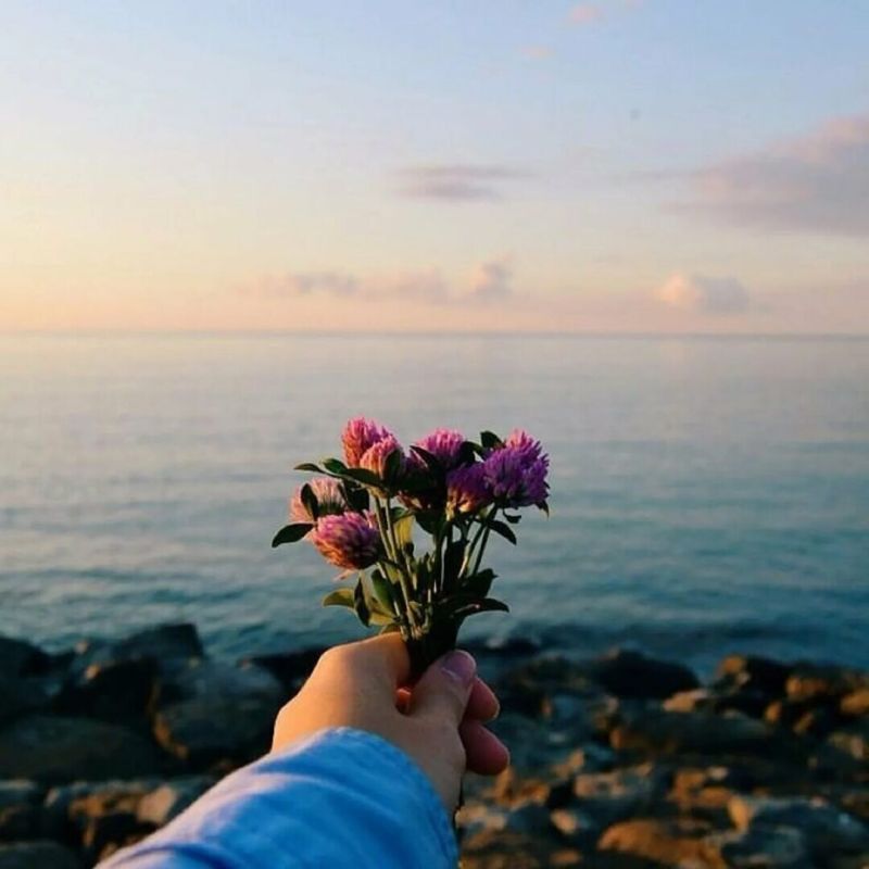 �������� �������: ��� ���������� ��������� � ����������� � ���������