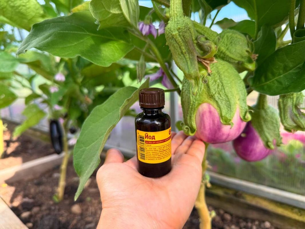 ��� ��� �������� �������� �������� �� �������� � ��������� ������