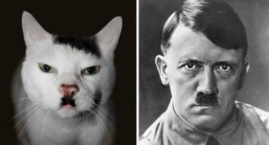 �������� �������� ����: 20 ��������, ������� ������ �������� �� �������������