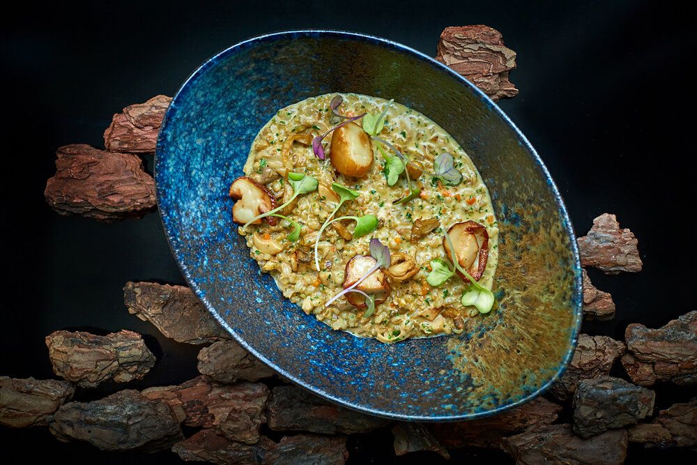 ���� ������� ���� � ������� ��� ������ ��������