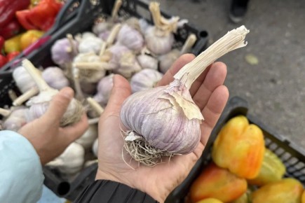 ��� ���� � �������: ������ �������� ��� ������� ��������