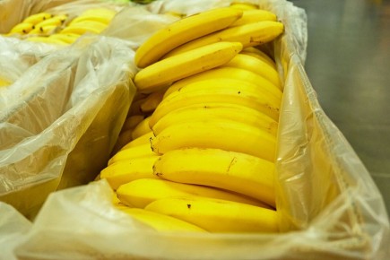 ��� �������� ����� �������: ���� ��������� ��������� �� ������������