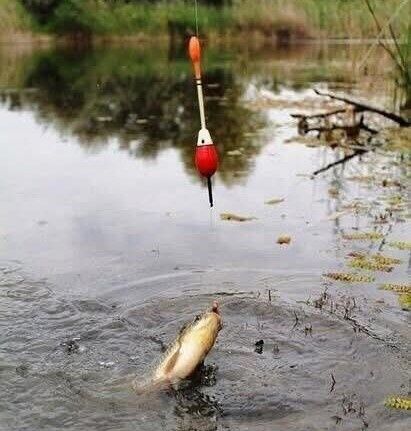 ������ ������ ���� ���������� ��������� �� ��������?