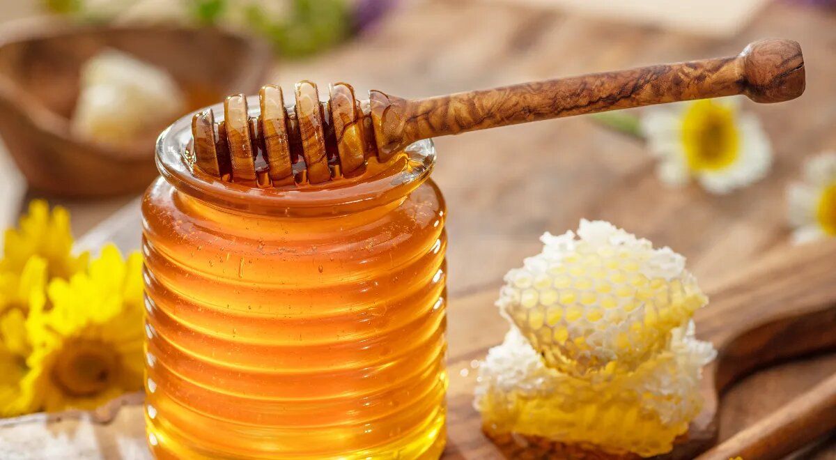 ������ ������ ����� ���� ����� ���� �������������