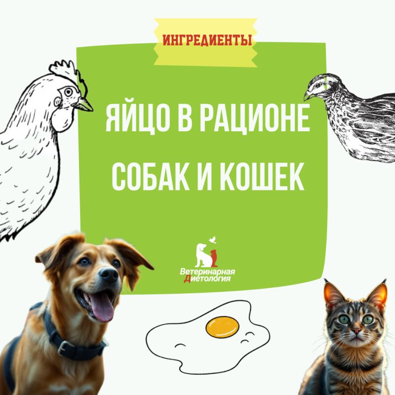 ���� � ������� �������� ��������