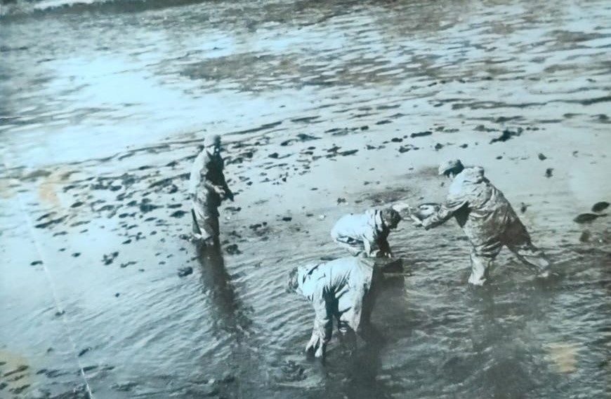 ����������� �������������� �������������� ������: �������� � ����� ���������