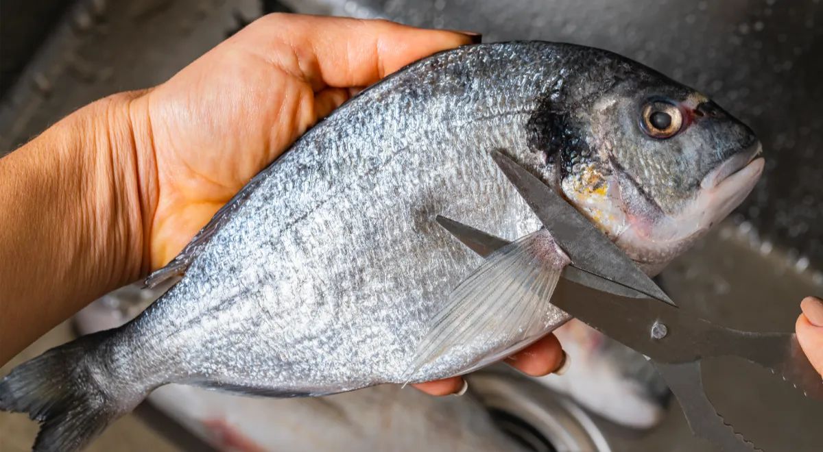 ������� � �����: ������� ������ �������� ���� ��� ������ ����������?