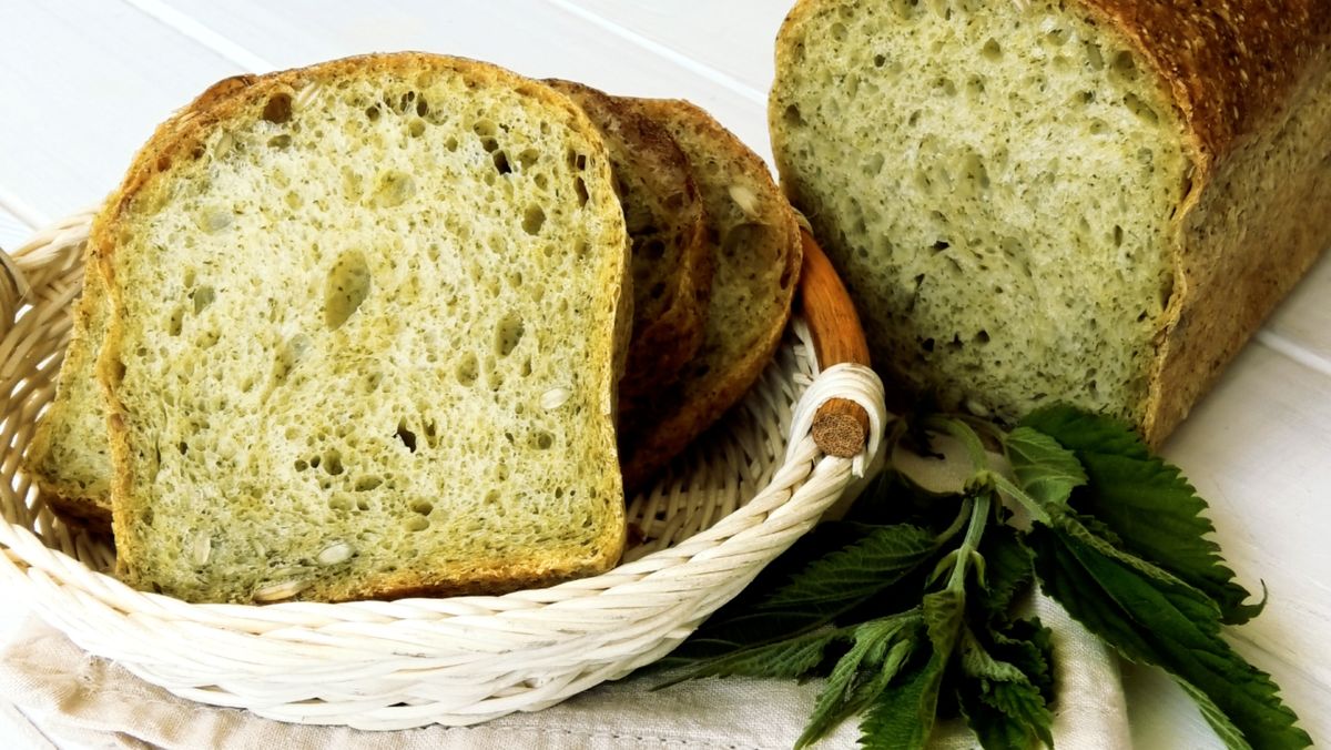 ���������� ��������� ���� � �������� �� ��������� ��������