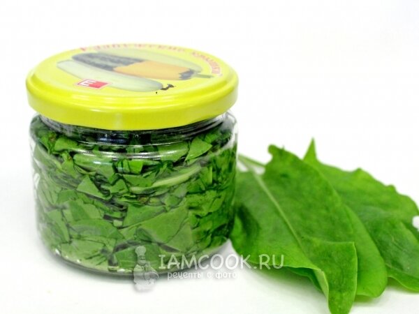 Как заготовить щавель на зиму: пять простых методов и уникальное варенье