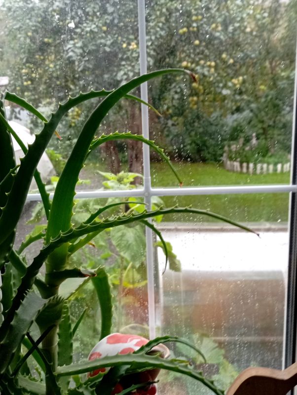 ��������: ������ ���, ����� � ���������� �������