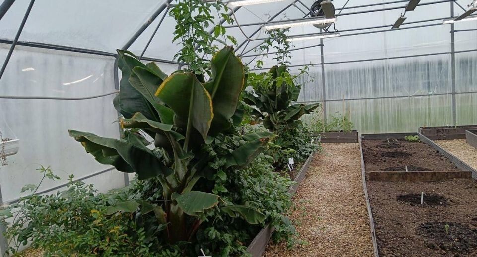 �������������: �������� �� ����������� � ����� ���� � ��������