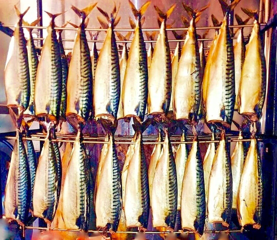 Скумбрия: удивительный источник здоровья и долголетия