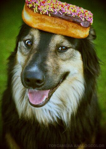 ������� ������������: ��� �������� ��������� ������� � �������