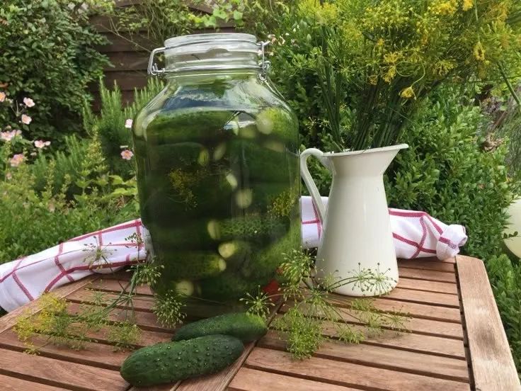 ���������� ������ ����������� ��������� � ������������ ��������