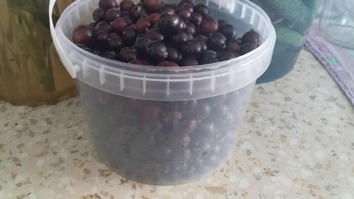 ��� ������ ������� ���� �� ���������: ������� �������� �������