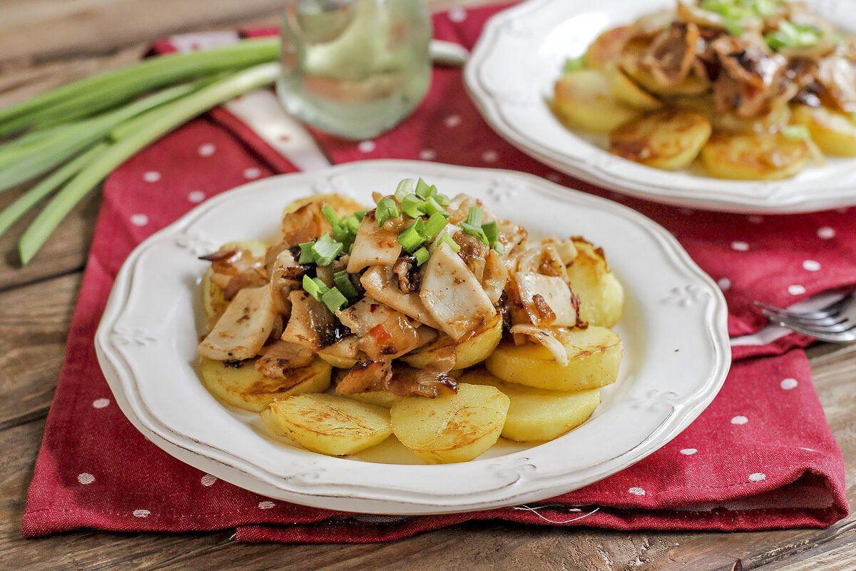 ������ ���� �������� � ������: ���������������� ������������ �� ����� �����