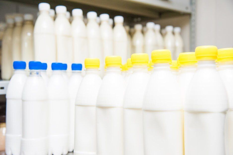 ������������ ������ � ���� �����������: ����� ������������ ��������