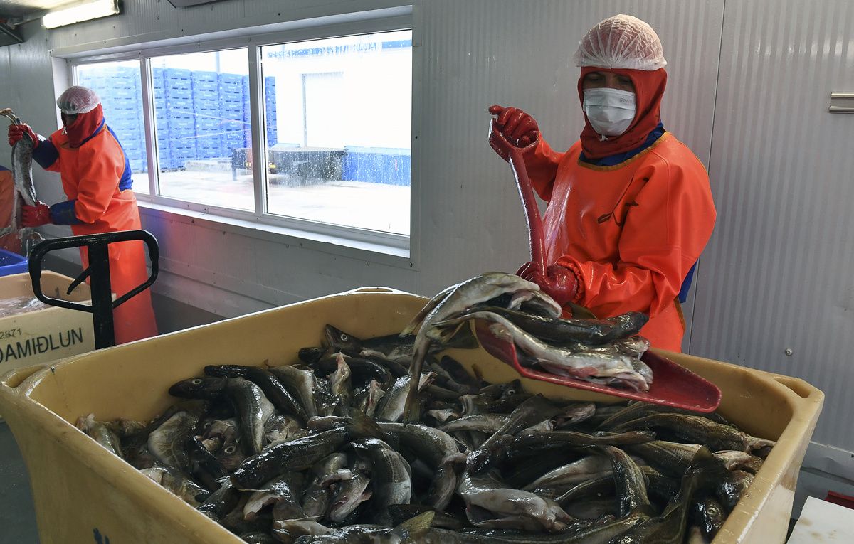 �����: ����, ������� ����� � ���� �� ���������� ����� � 2026 ����