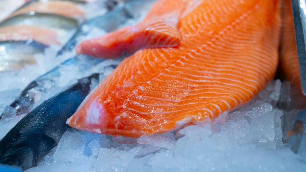 ������ ������� ���� �� ���������: �������� ����� �� ����������