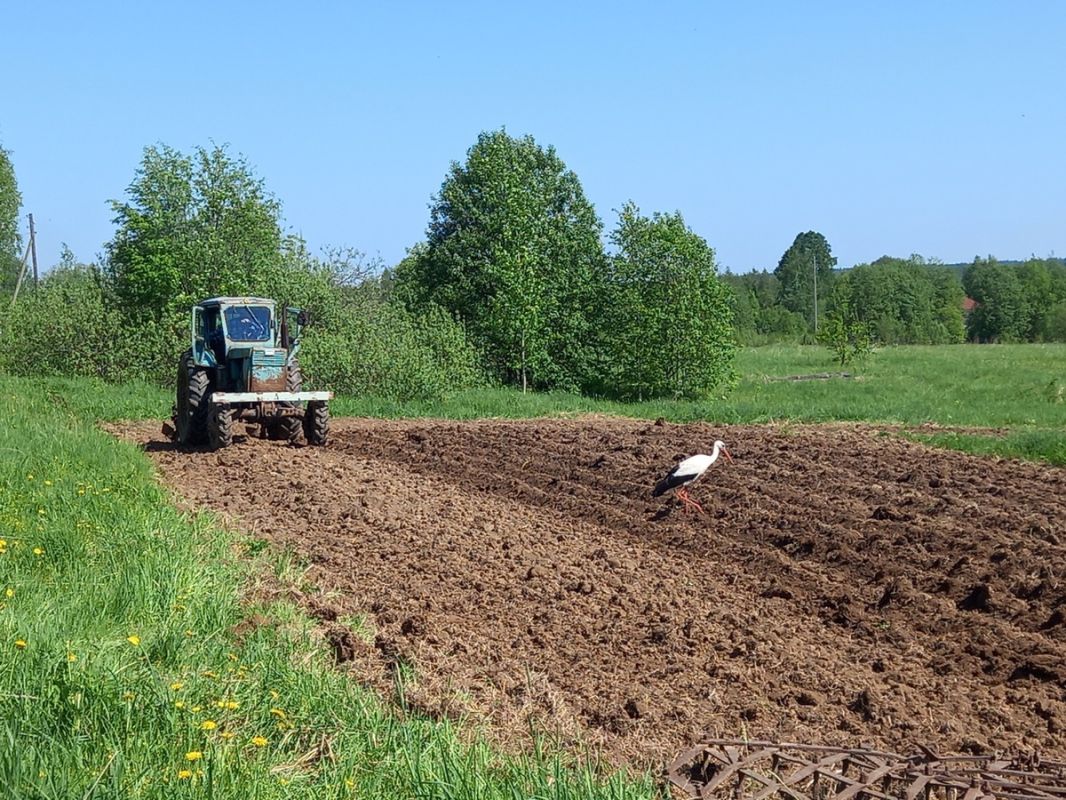 �������� �� ����������� �������: ��� ����� �� ������ �� ���� � ����