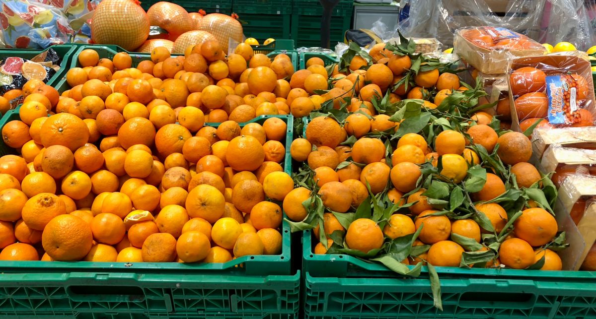 ������� ���������� ����� ���� � ���� ����� �� ��������� ���������