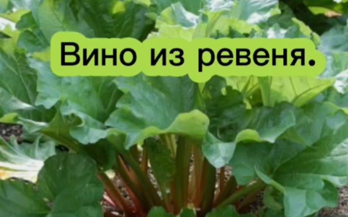 ��� ����������� �������� ���� �� ������: ������� � ������