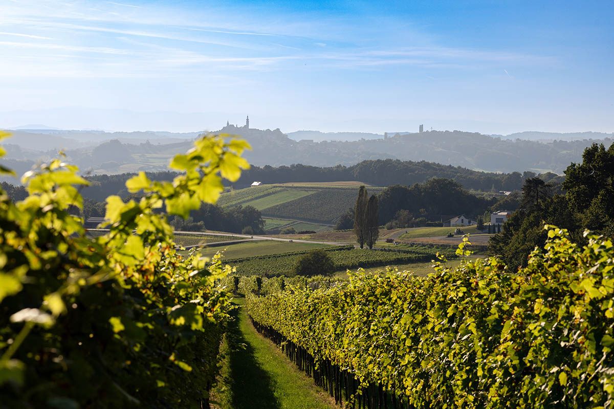 ������: �������� �������� �� �������� �����������