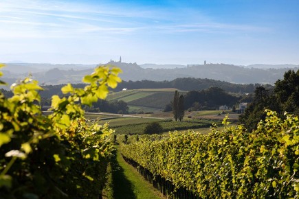 ������: �������� �������� �� �������� �����������