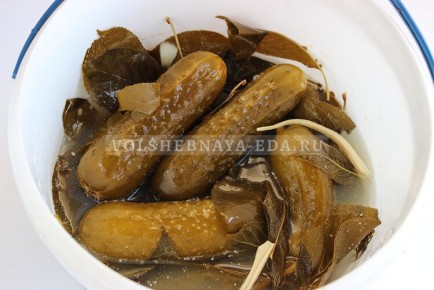 ��� �������� ������ � �����: ������� ���������� �����