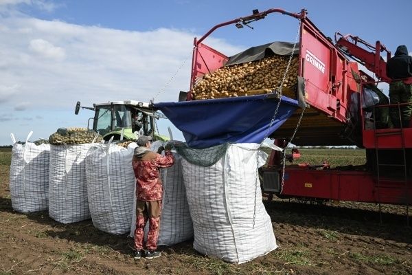 ������������ ��� �� ��������� � 2026 ����: ������� ��������