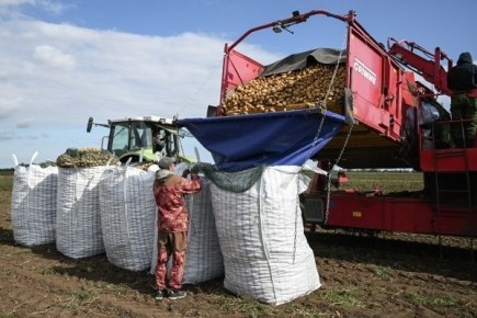 ������������ ��� �� ��������� � 2026 ����: ������� ��������