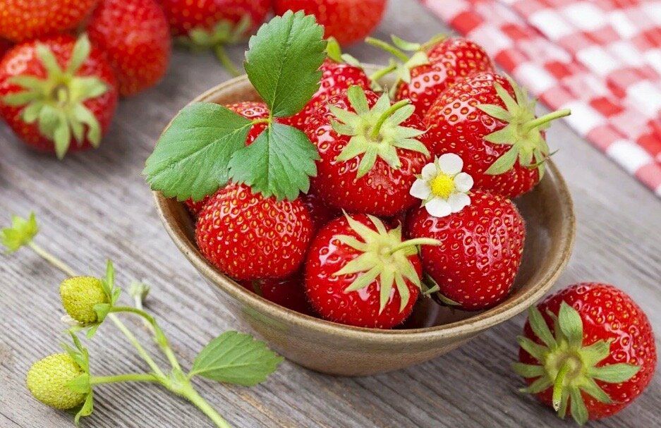 ��������� ���������� ���������: ������ ���� ������ �� ����