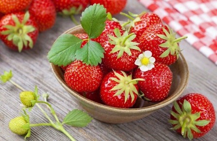 ��������� ���������� ���������: ������ ���� ������ �� ����