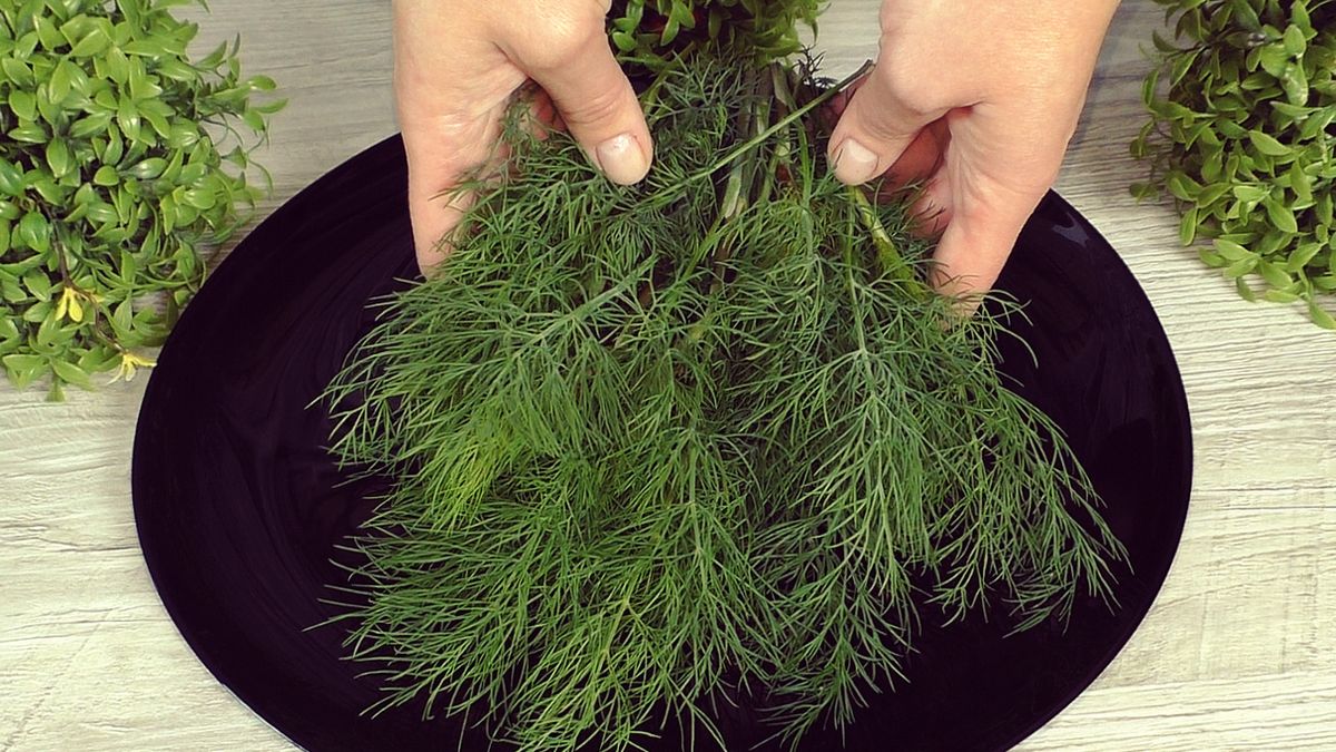 ����� �������� ������: ��� ��������� �������� �� ������ � ������