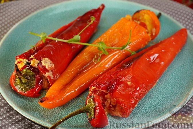 ��������� �����: ���� ��� ��������, ������� ������ ��������